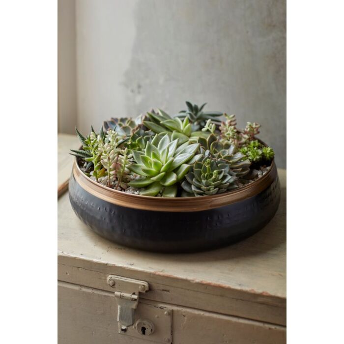 Burgon and Ball Saraha Sunset - Statement Bowl